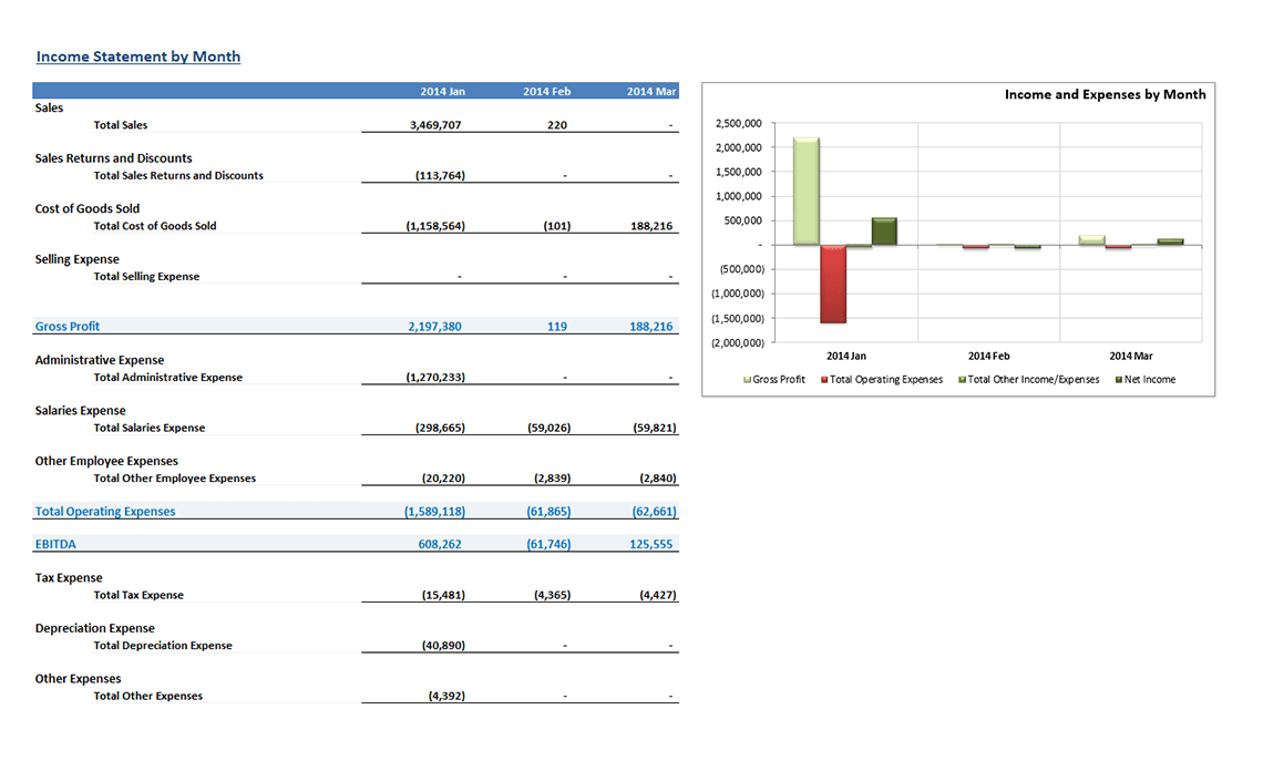 Monthly Income Statement