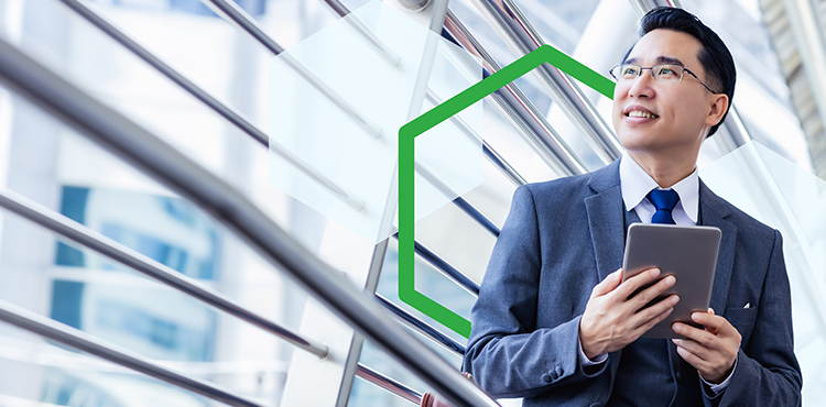 Professional Software for Group Consolidation