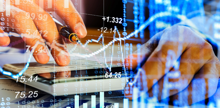 Private Company Cap Table Reporting