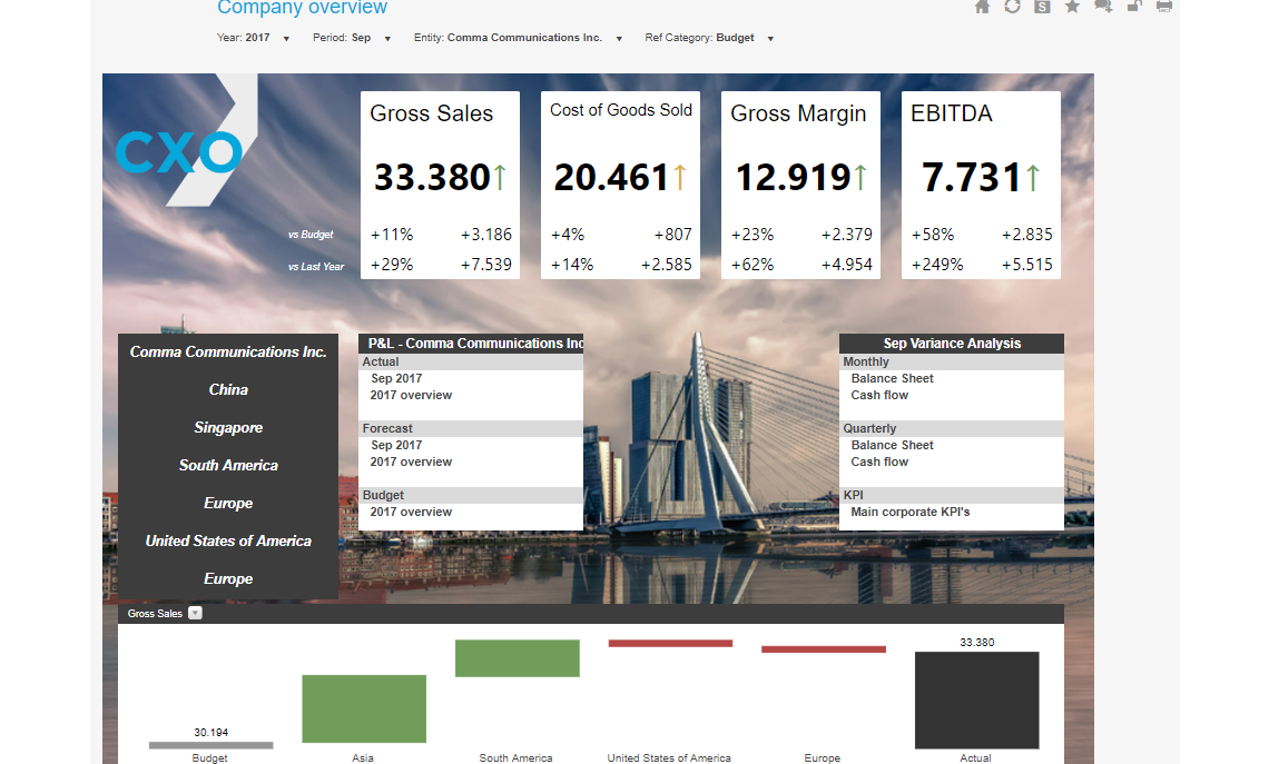 Company Overview