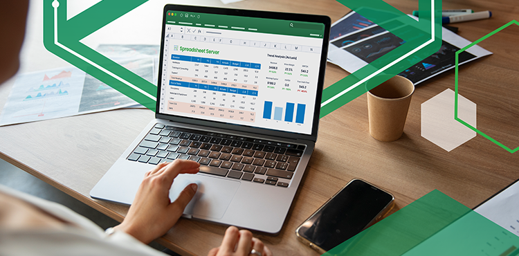Spreadsheet Server 101: Step-by-Step Report Building