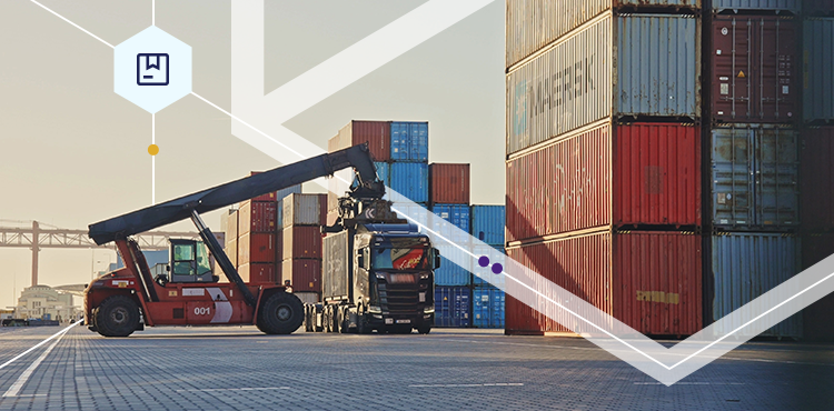 Transfer Pricing Solutions for the Tariff Era