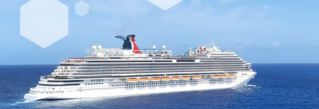 Carnival Case Study