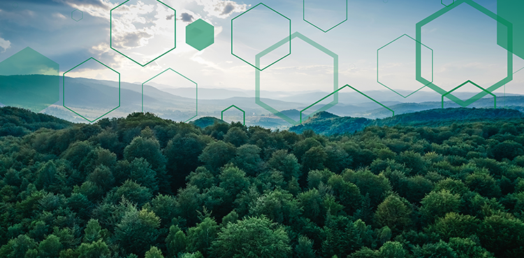 ESG Reporting Implications for My Organization