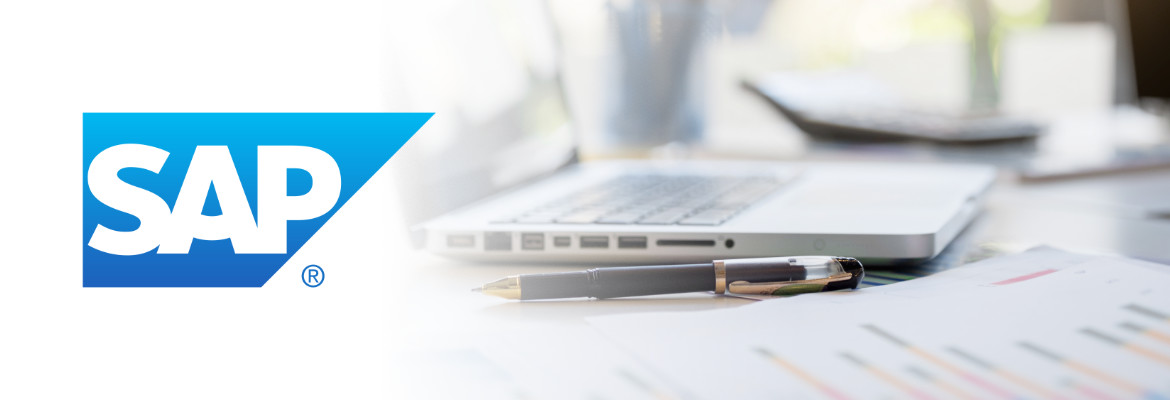 SAP Reporting and Analysis Made Simple