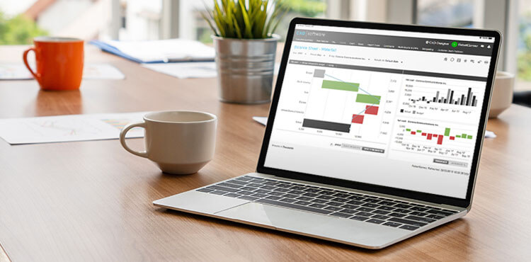 A Management Reporting Transformation: Sage & CXO