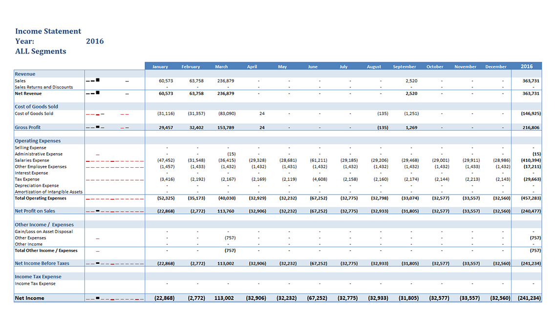Income Statement by Segment