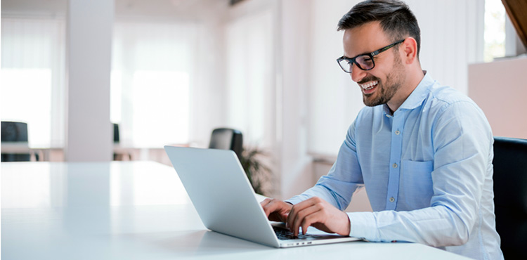 Bizview Partner Business Model
