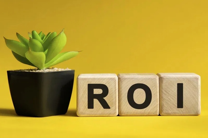 Roi