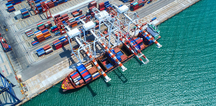Eight Key Factors to Consider when Evaluating Transfer Pricing Software