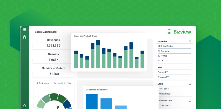 Bizview Tips & Tricks: Unlock the Power of Bizview: Tips for Your Best Planning Year Yet