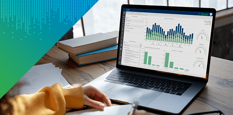 Bizview Lunch & Learn: End User Basics Pt. 1