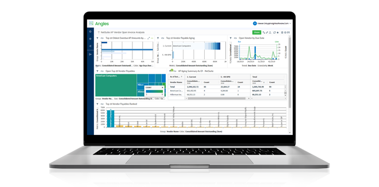 Supercharge Deltek Operational Reporting with Angles and Spreadsheet Server