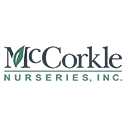 McCorkle Case Study