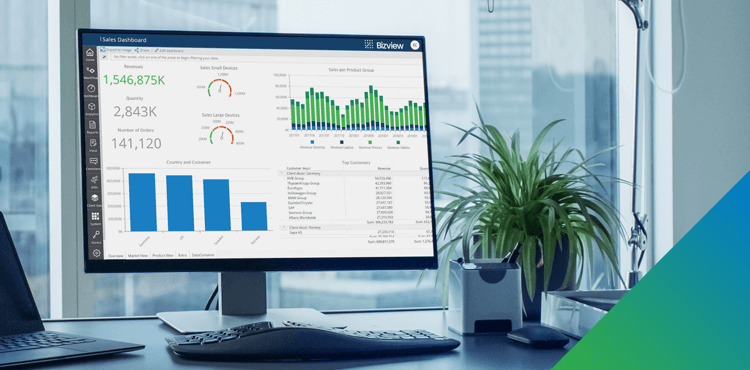 Bizview – 5 Minute Demo