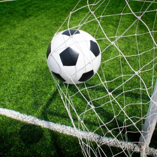 football in the back of the net
