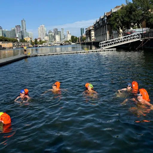 group of people swimming in Greendland Dock