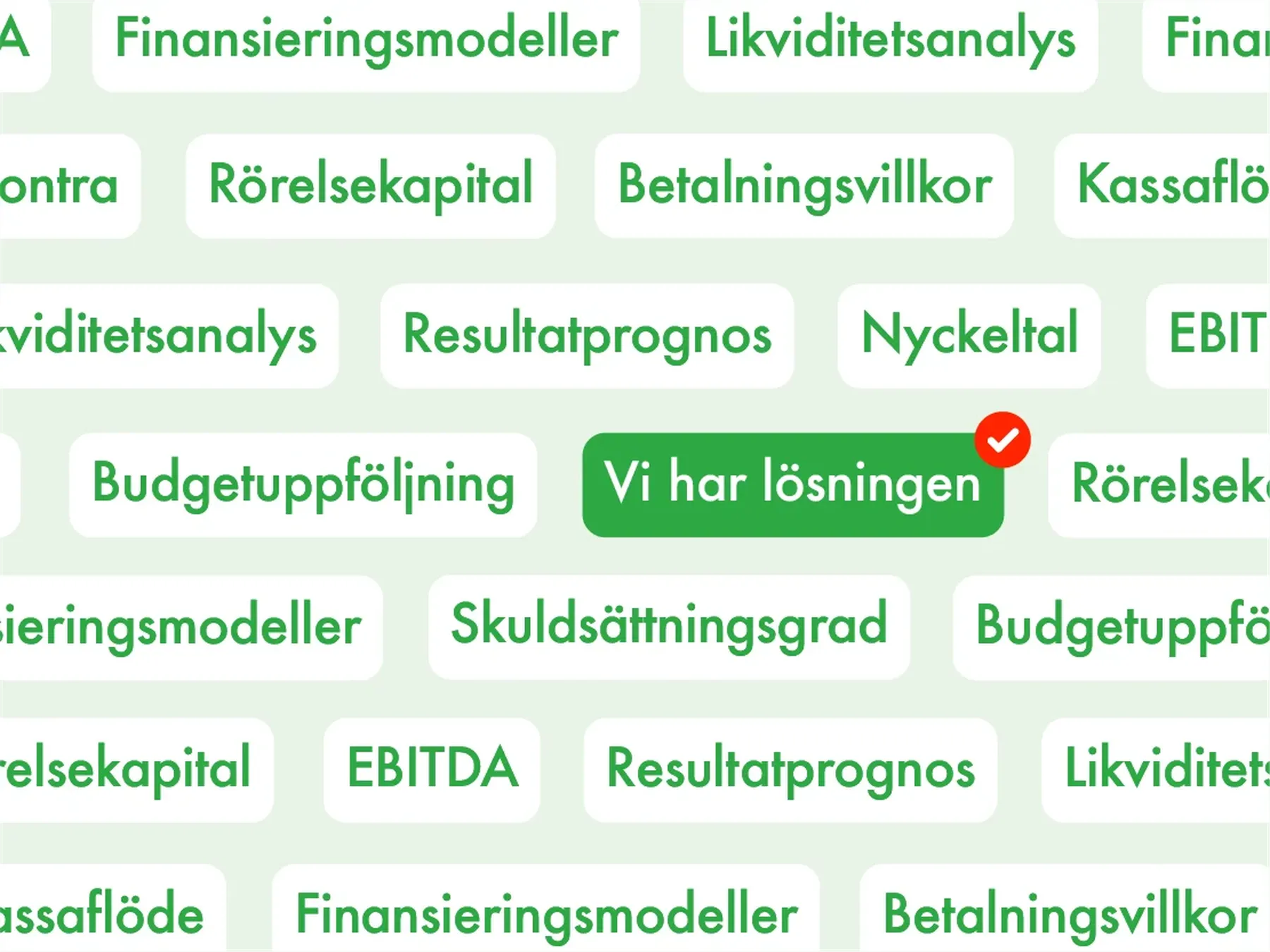 Textblock med ekonomiska termer som "Rörelsekapital" och "Nyckeltal". En grön ruta med texten "Vi har lösningen" och en röd bock.