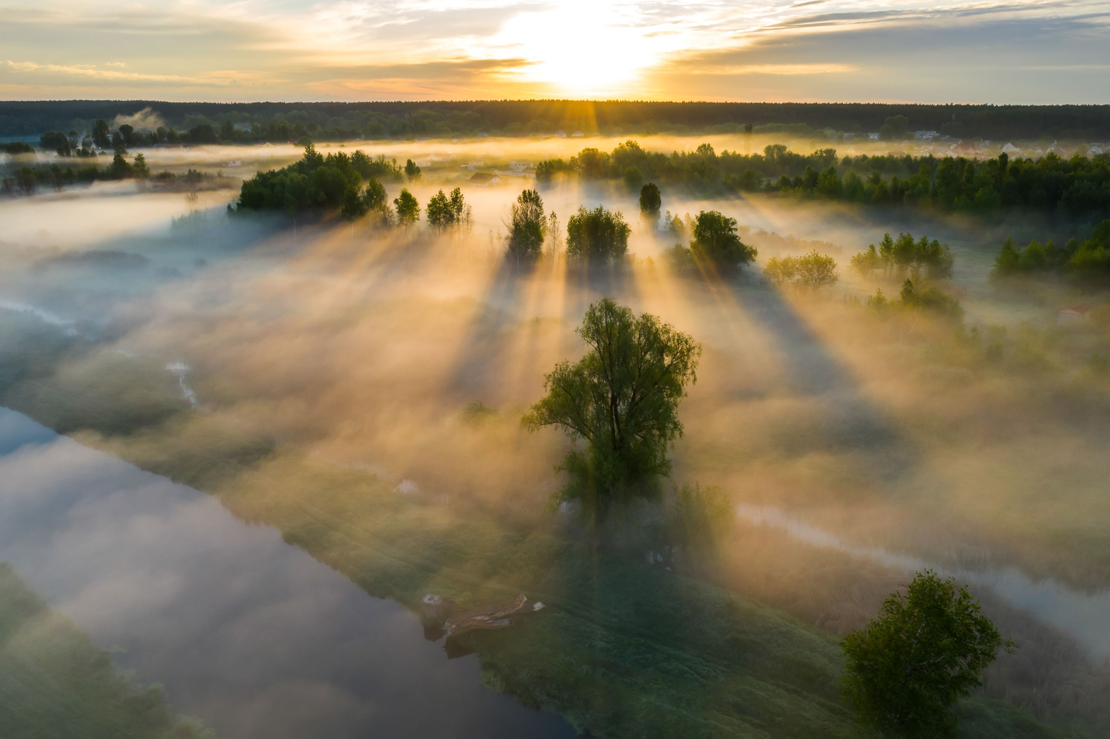 Soluppgång över dimmig skog och äng, med solstrålar som lyser genom dimman och speglas i en stilla flod.