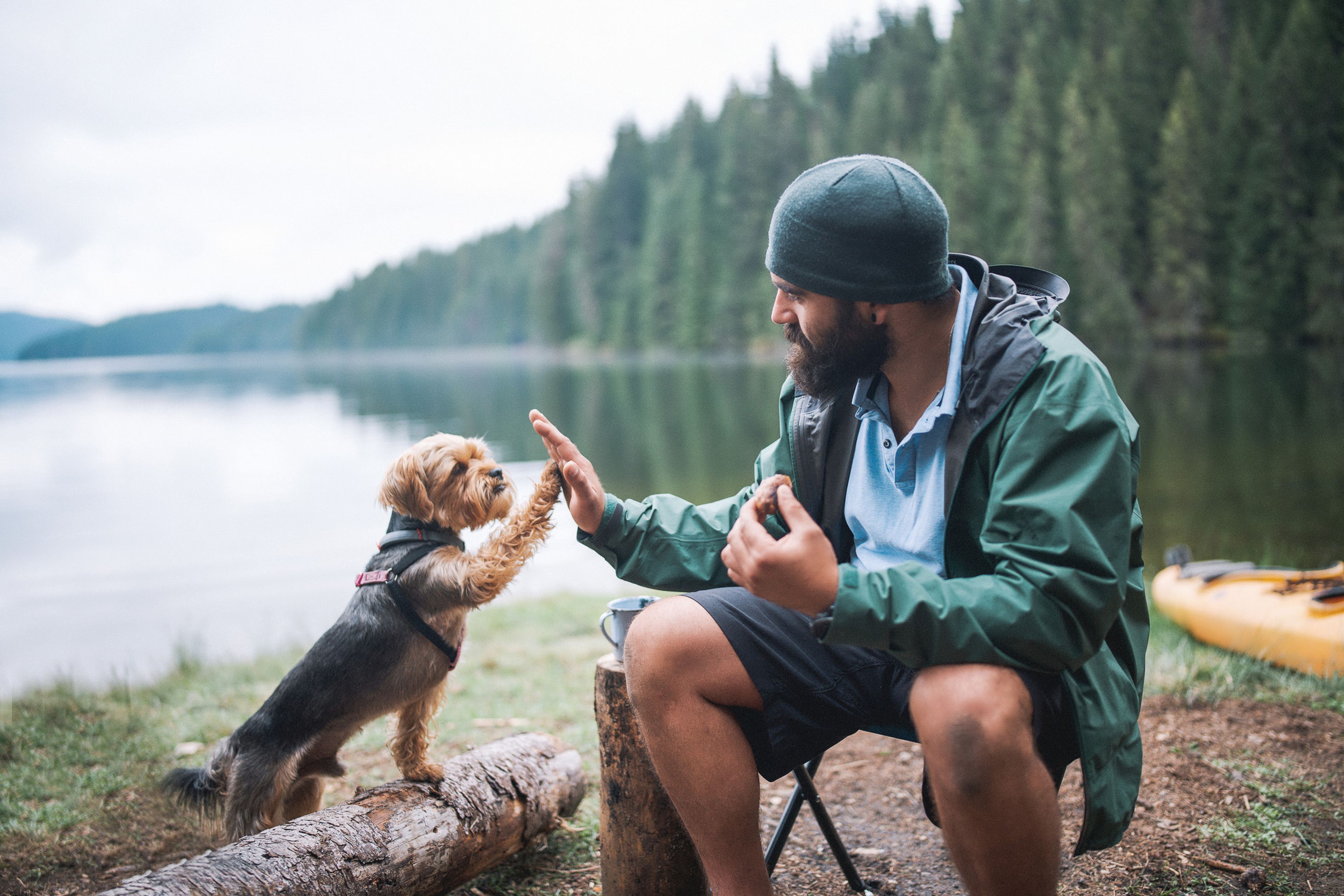 Man i grön jacka ger high five till en liten hund bredvid en sjö med skog i bakgrunden.