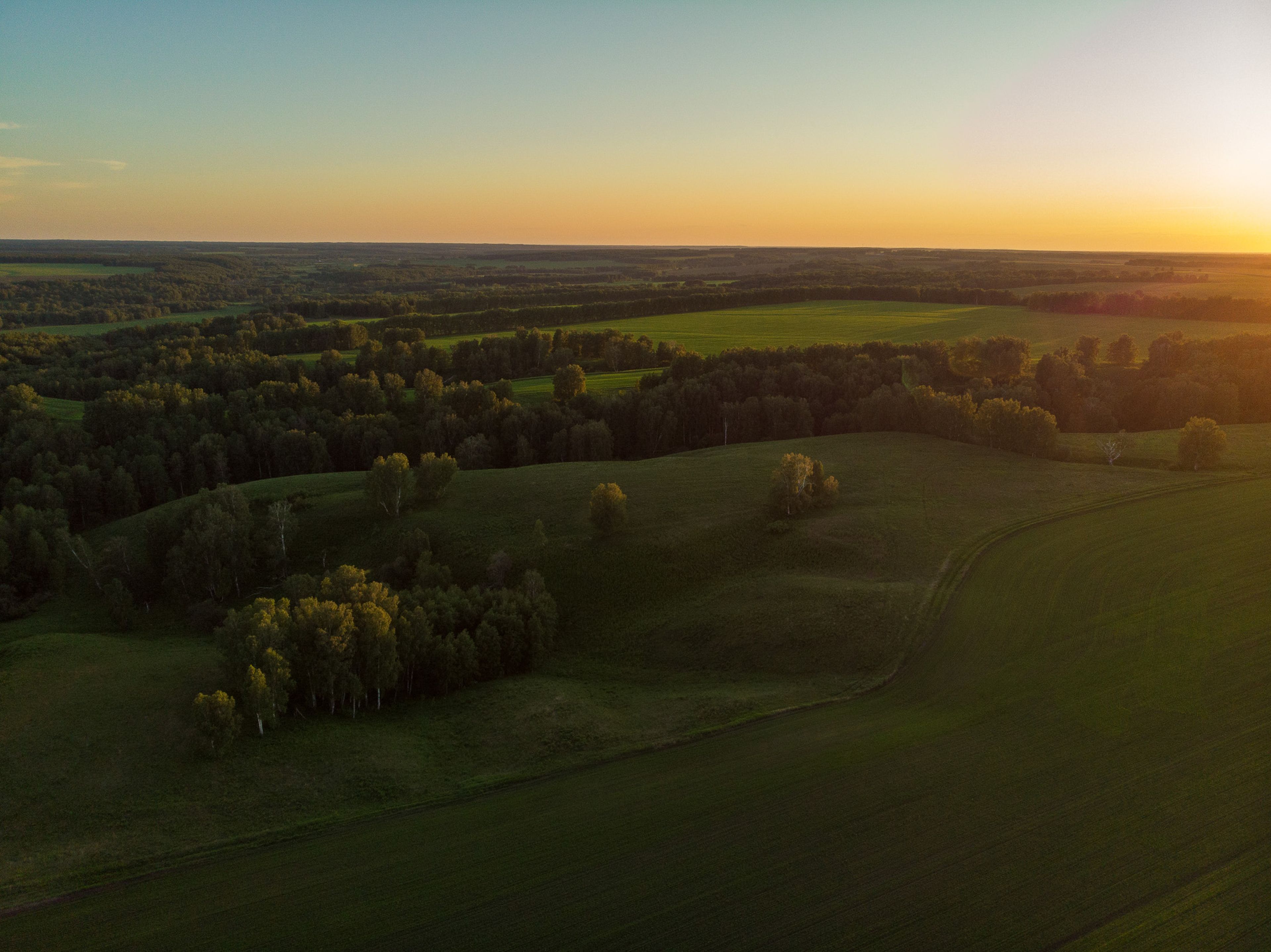 Landskapsscen med skog och åkrar vid solnedgången, med milda ljus som lyser upp träden och en klar himmel i bakgrunden.