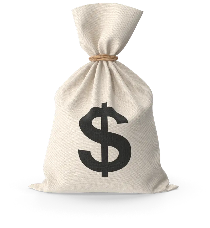 Money bag representing daily prize