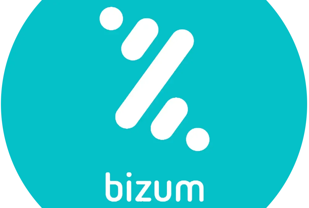Logo of Bizum