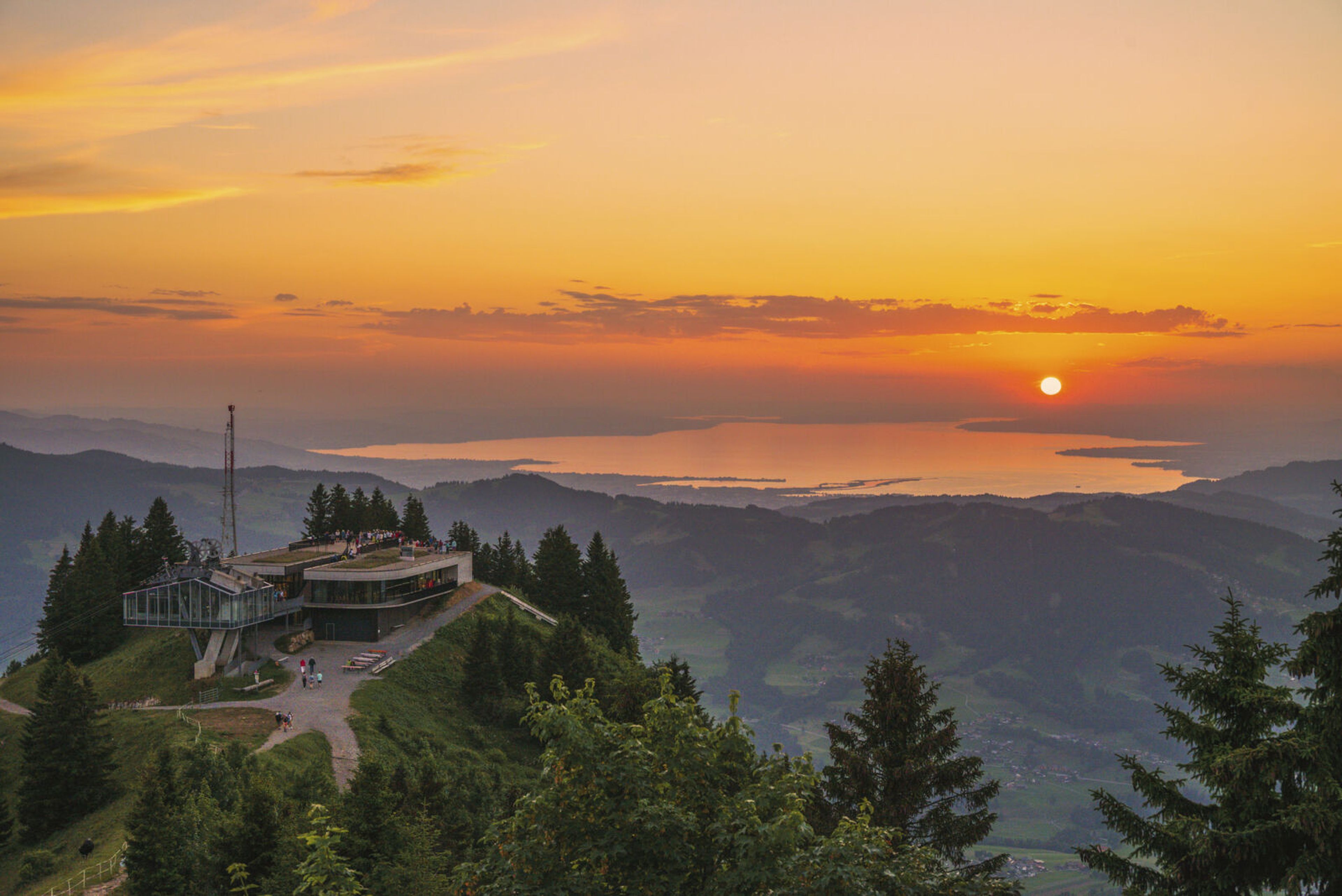 Sonnenuntergang Baumgarten mit Blick zum Bodensee