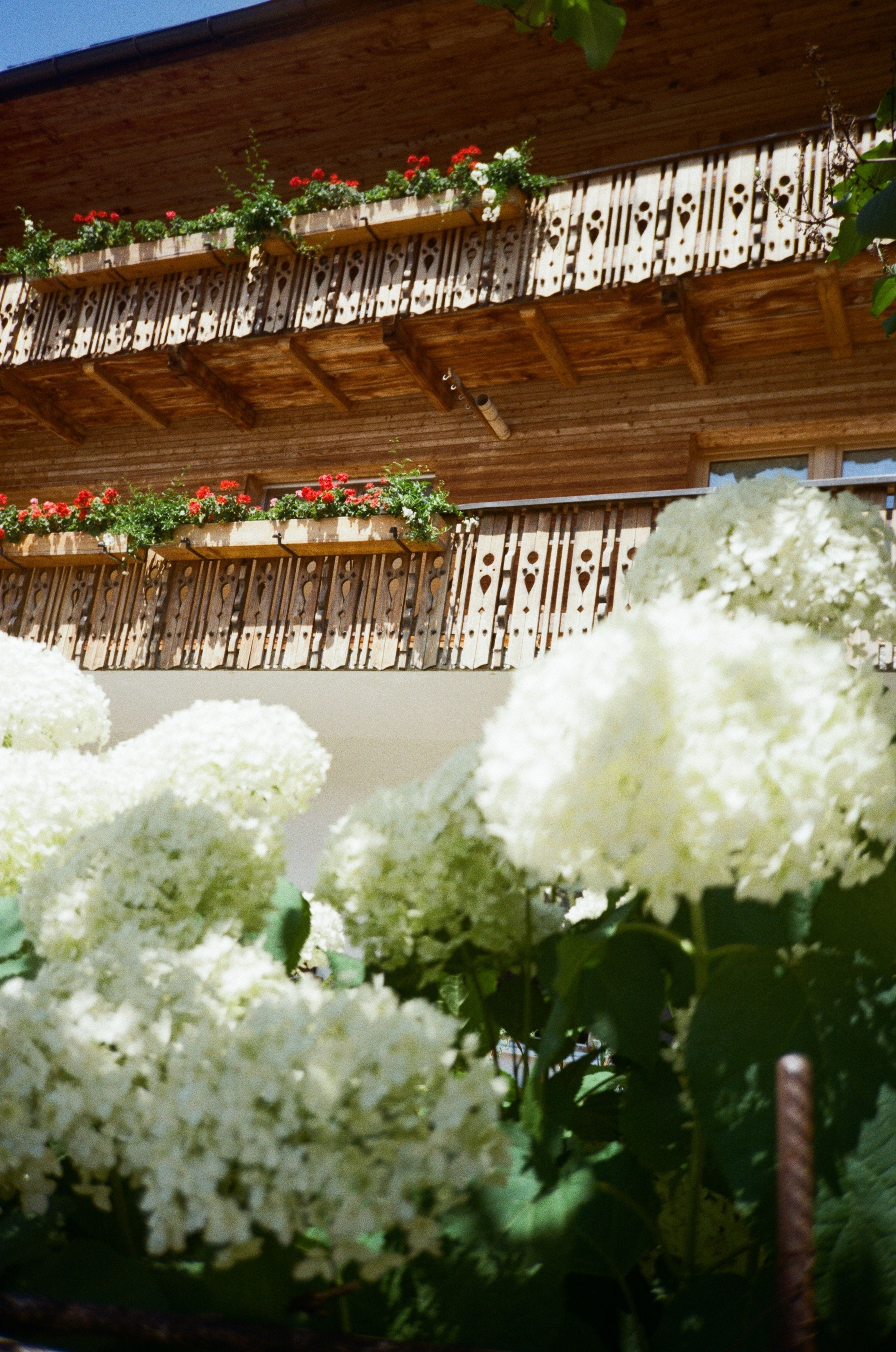Haus und im Vordergrund Blumen