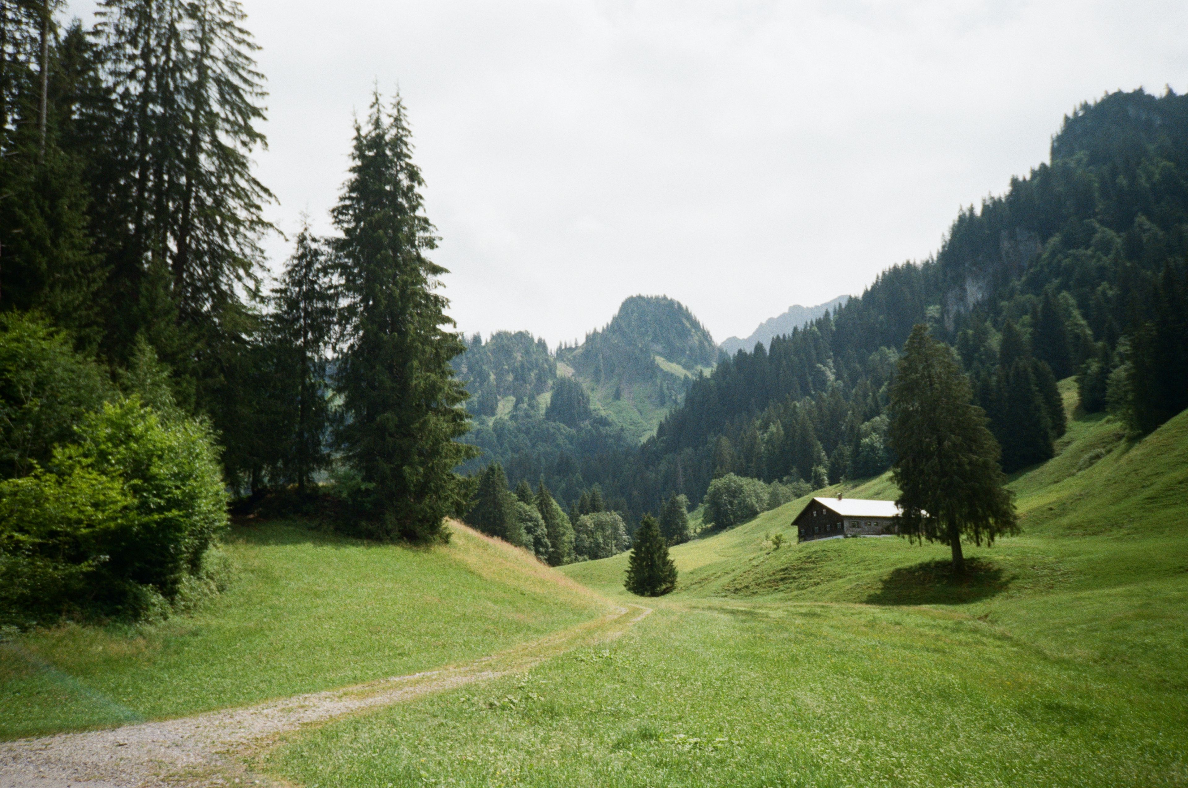 Aussicht in ein Tal mit Hütte