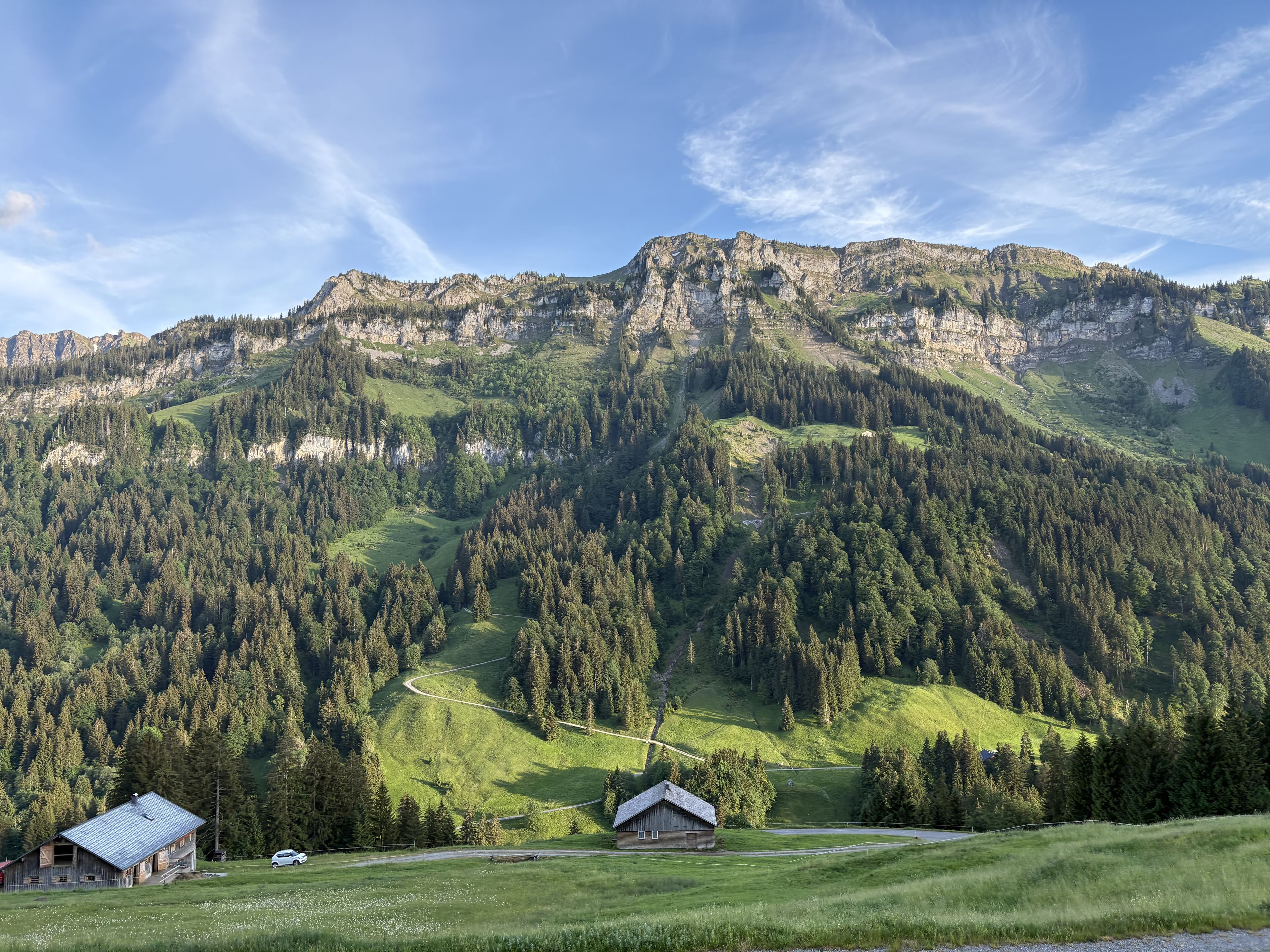 Grüne Almlandschaft mit zwei Holzhütten im Vordergrund, umgeben von einer dichten Tannenwaldkulisse und einem Bergmassiv im Hintergrund.