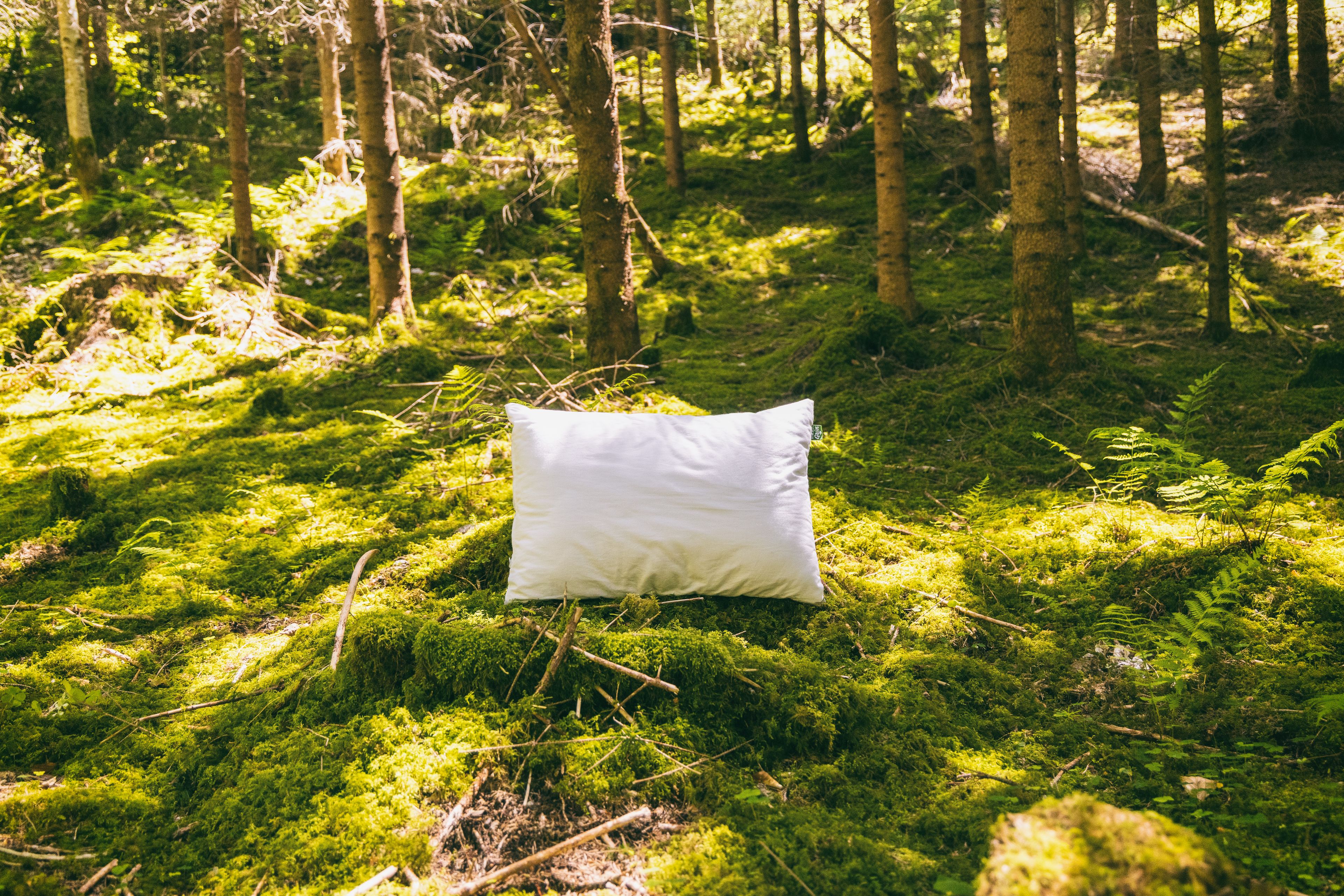 Ein weißes Kissen liegt im Wald