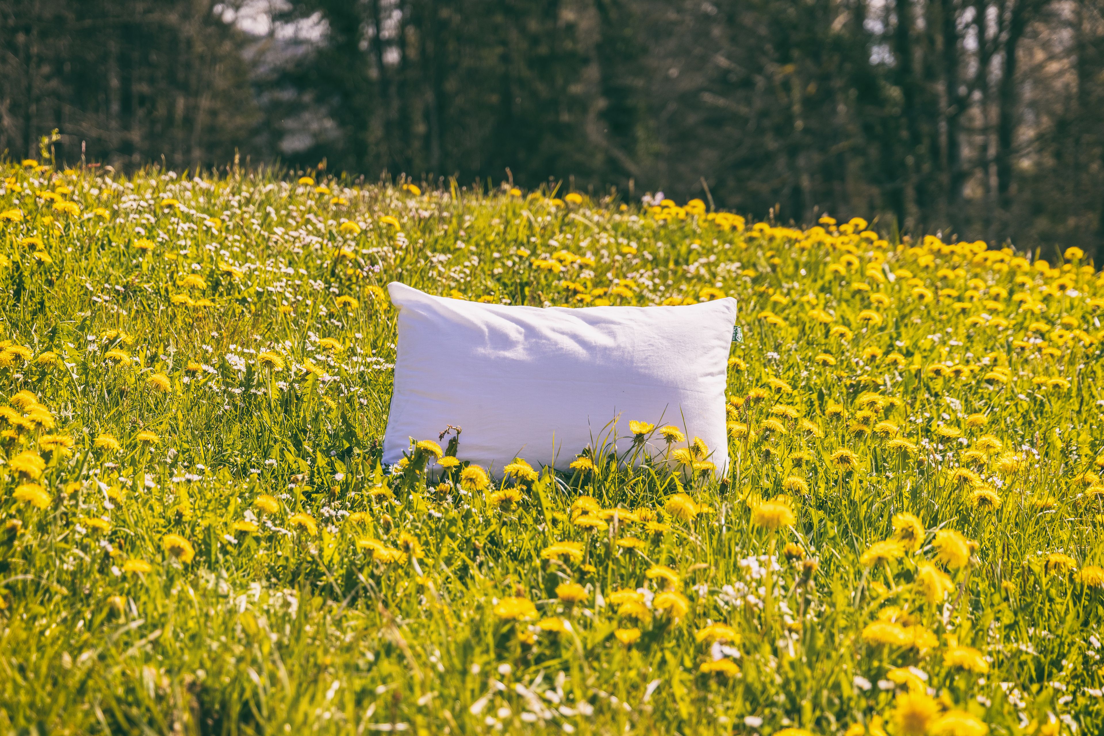 Weißes Kissen in Blumenfeld