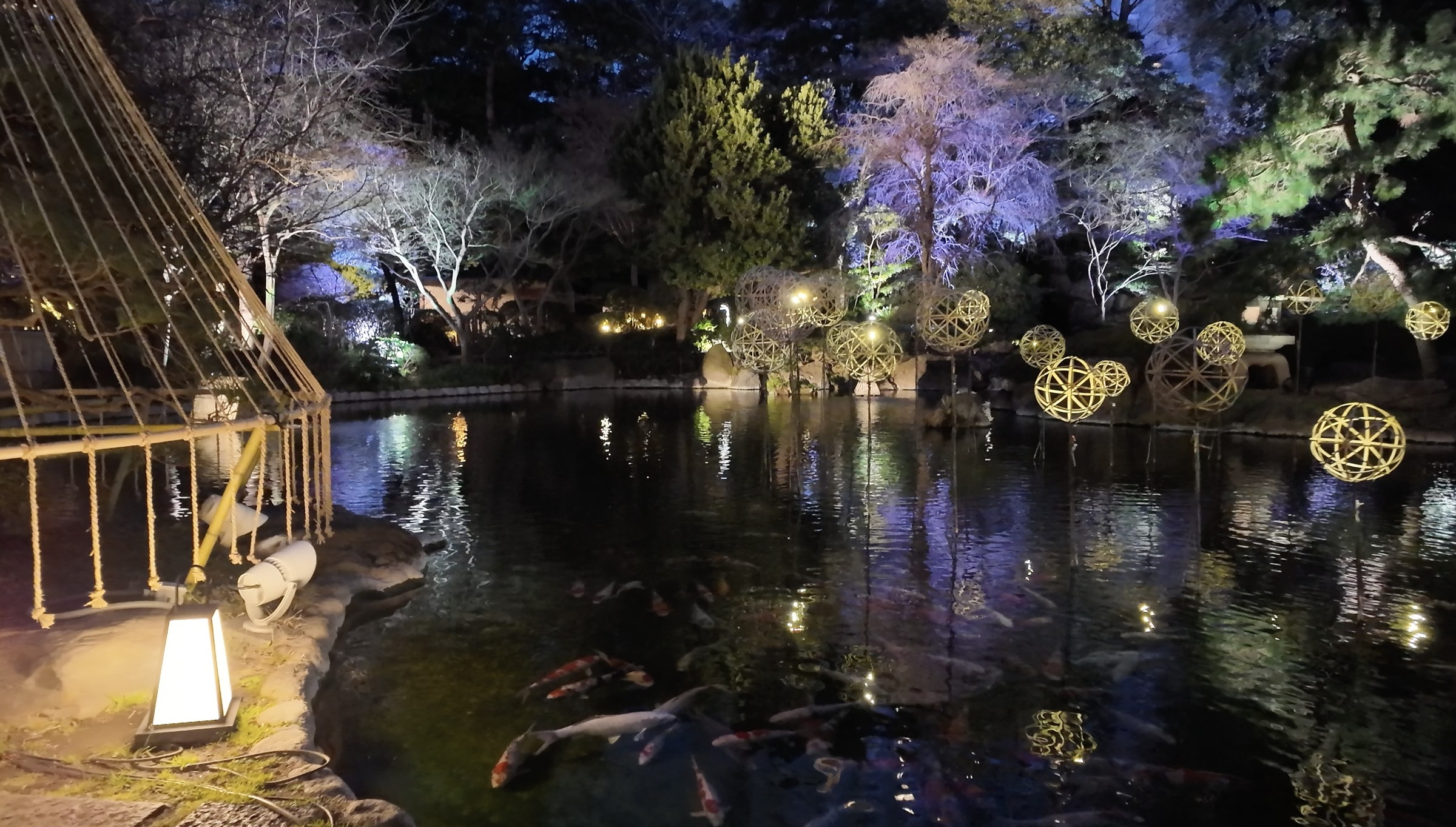 Takanawa Japanese Garden koi pond lit at night with butterfly light installations reflected in the water.