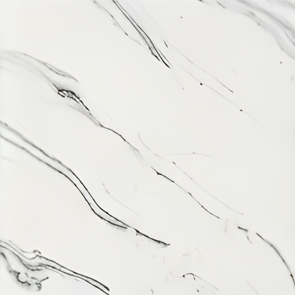 Fine Calacatta Black