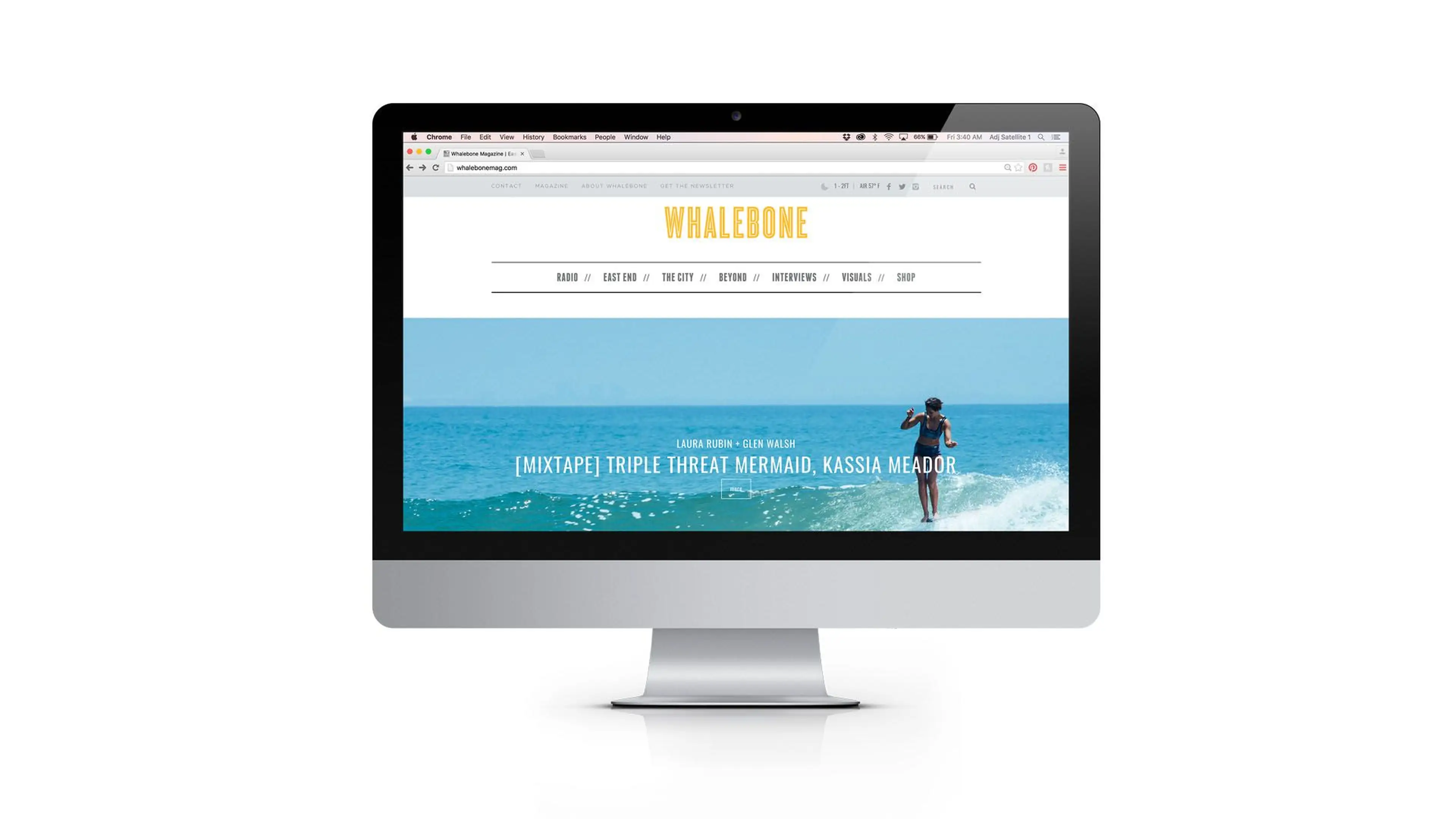 Whalebone digital