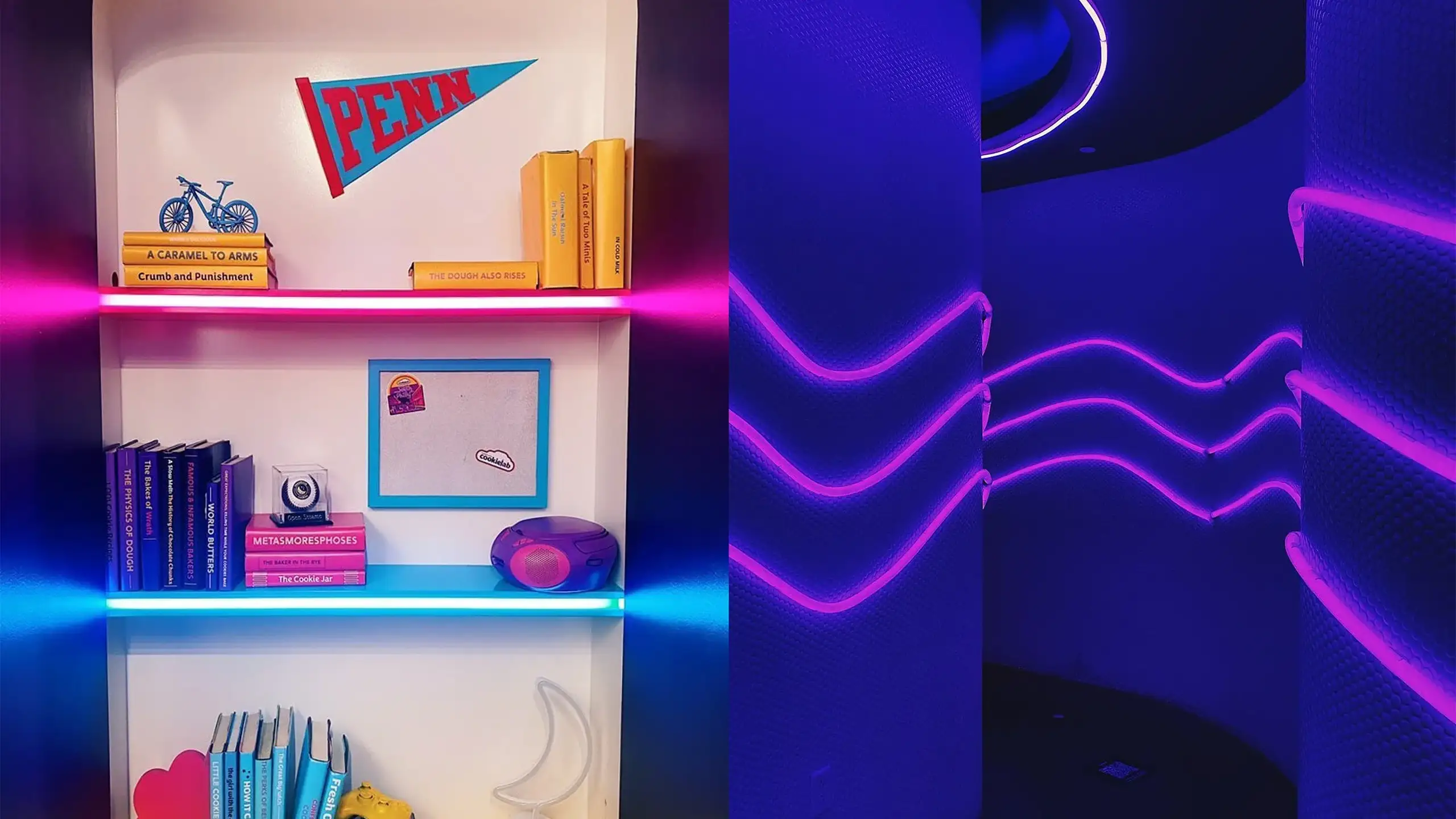 Cookie lab shelf