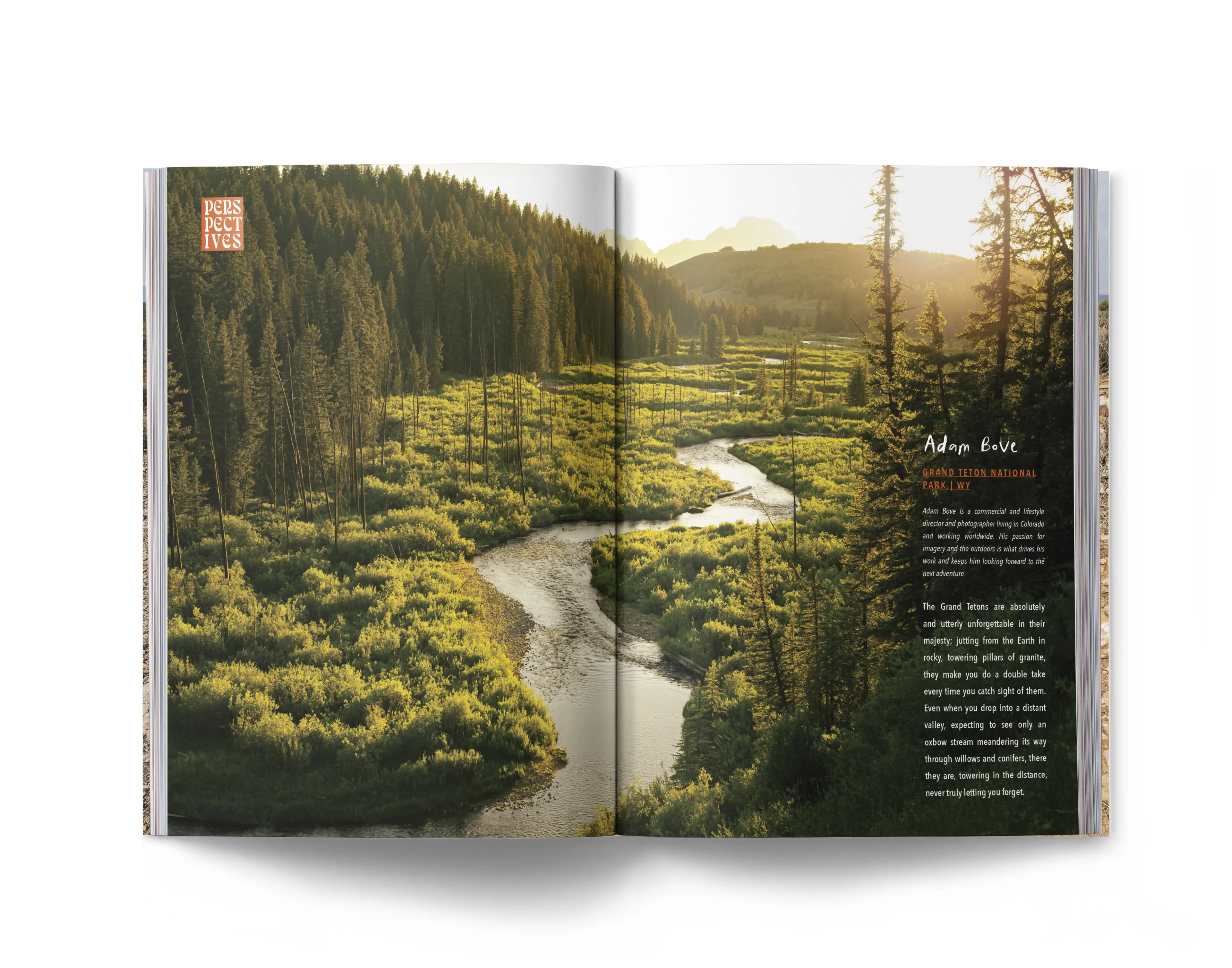 Whalebone magazine the park issue spread