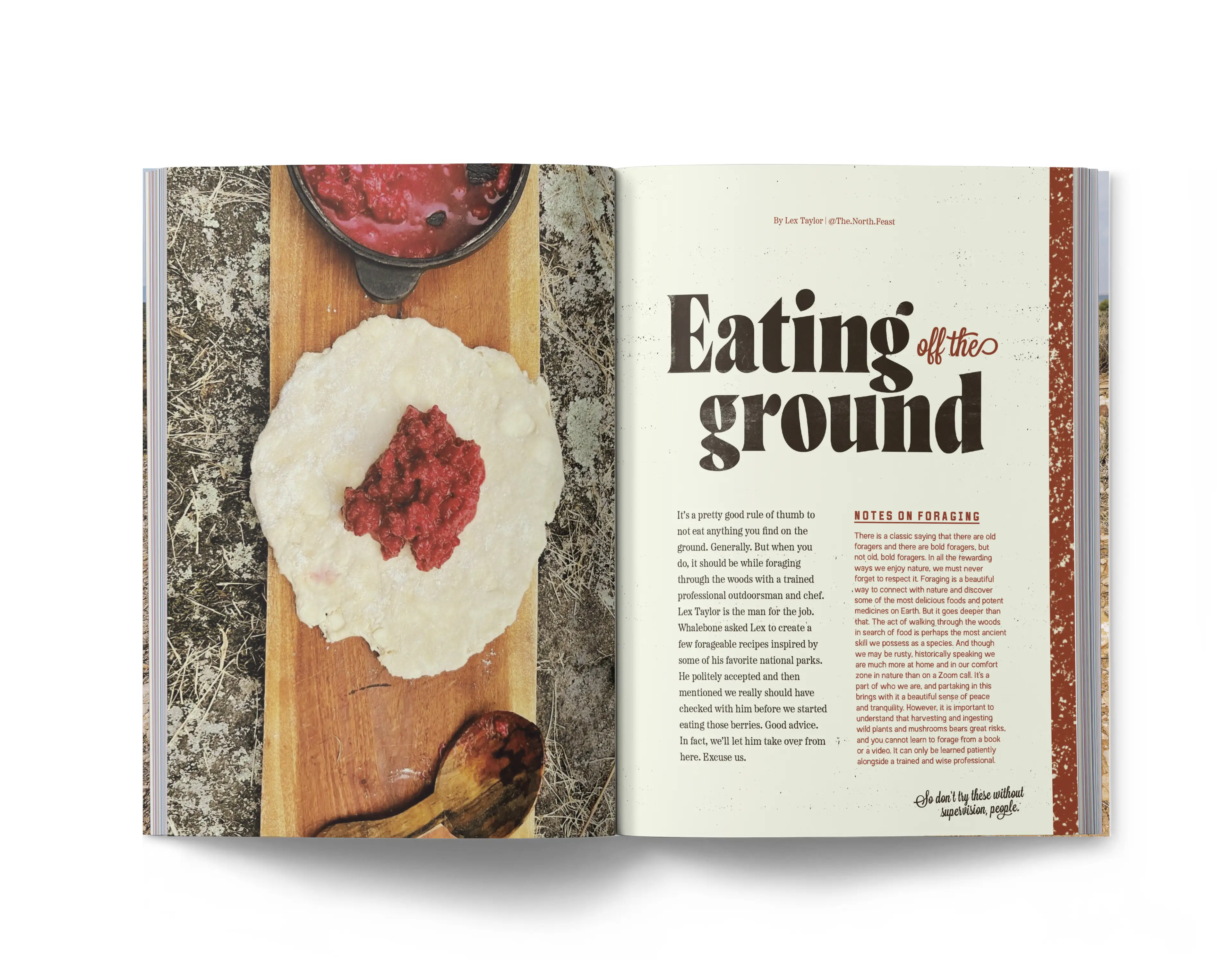 Whalebone magazine the park issue spread