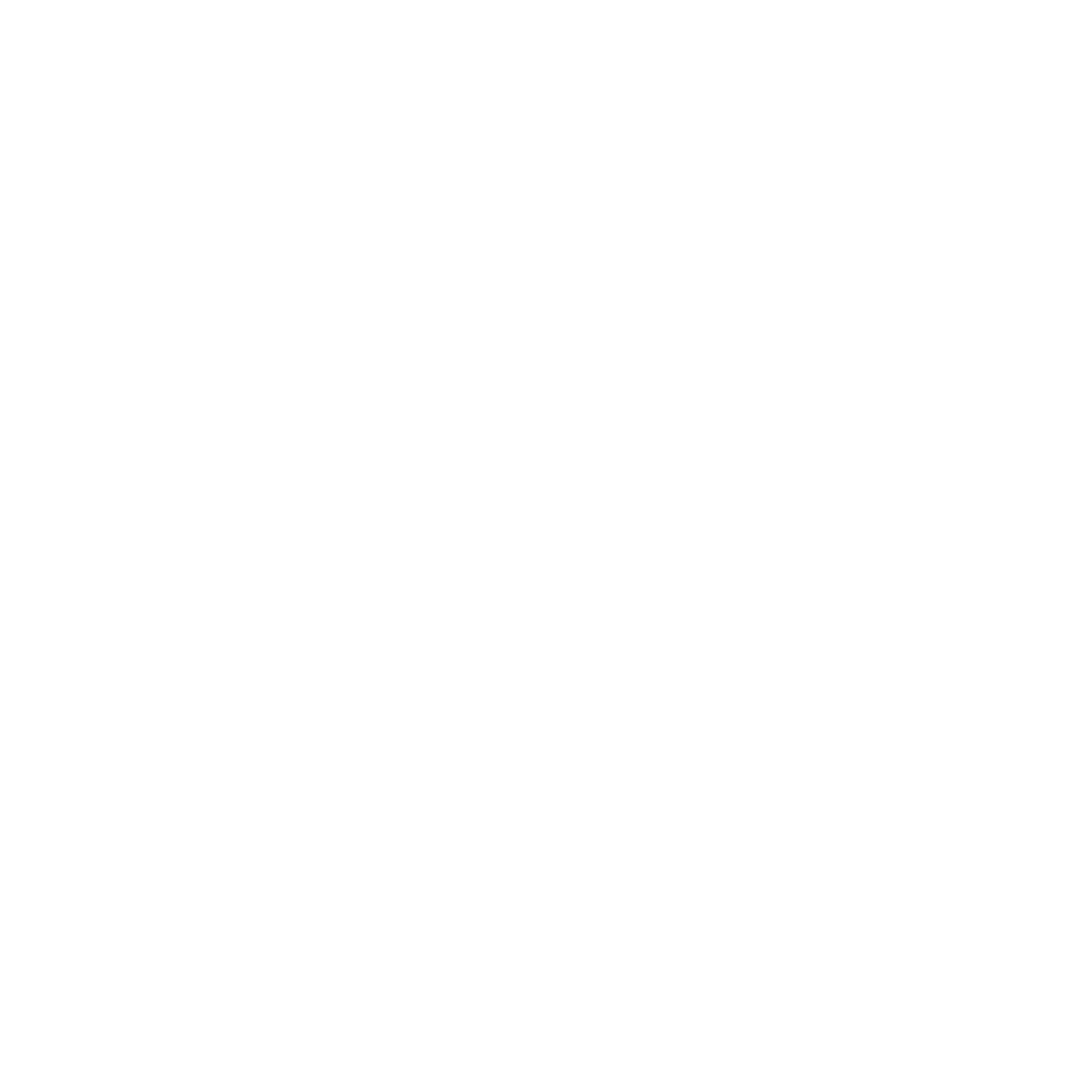 Flow Logo