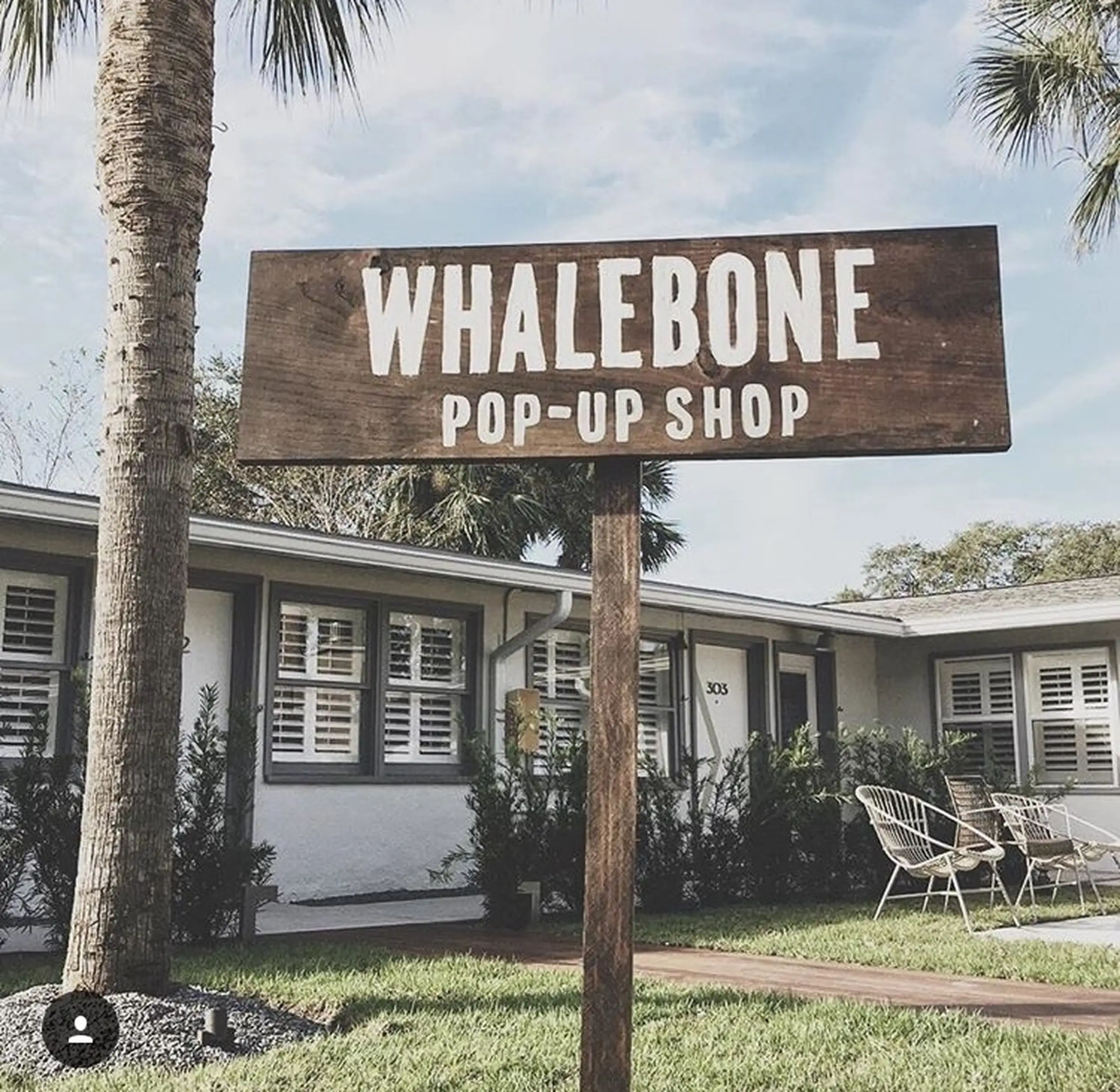 Whalebone pop up shop