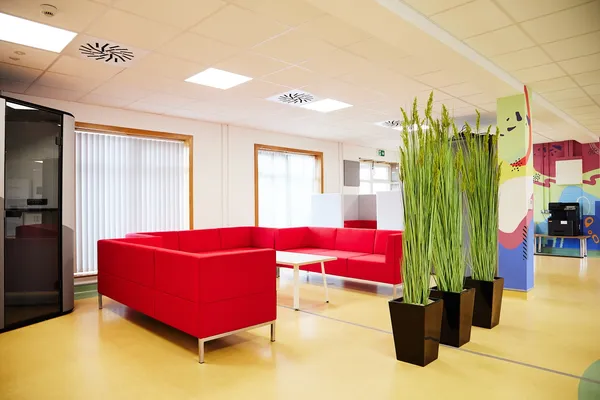 The Impact Hub @ Crann