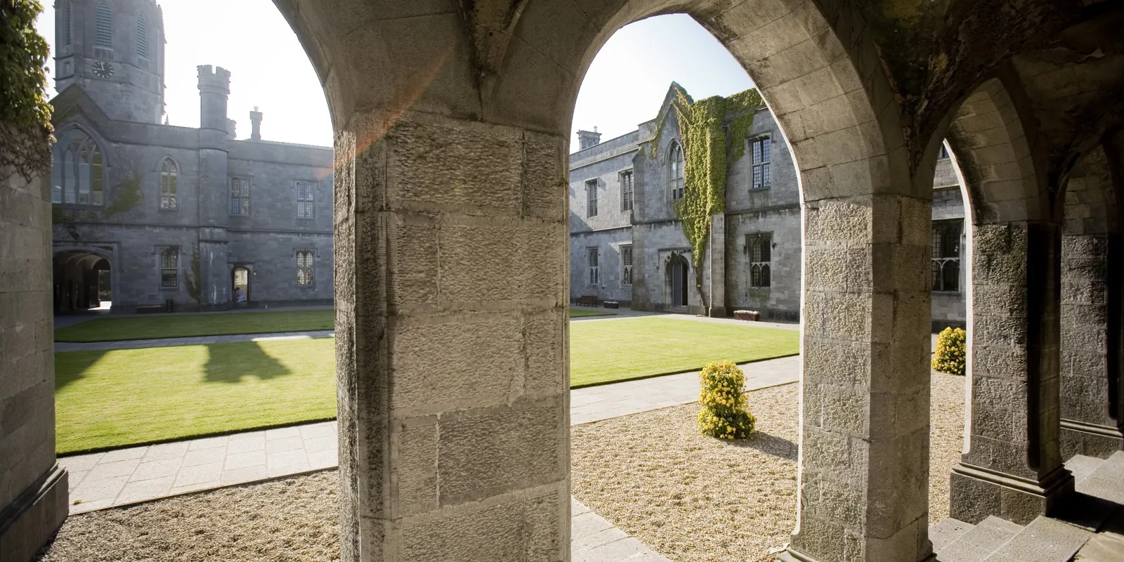 Galway Business Innovation Centre — coworking space interior