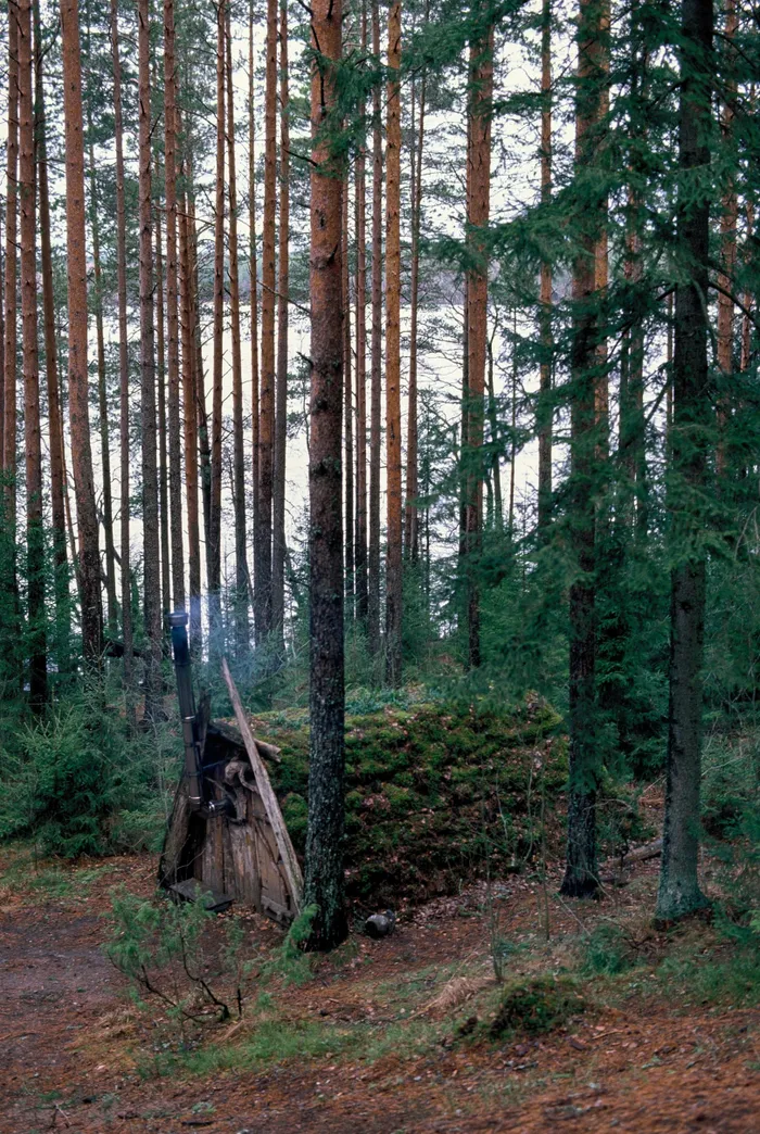 The sauna