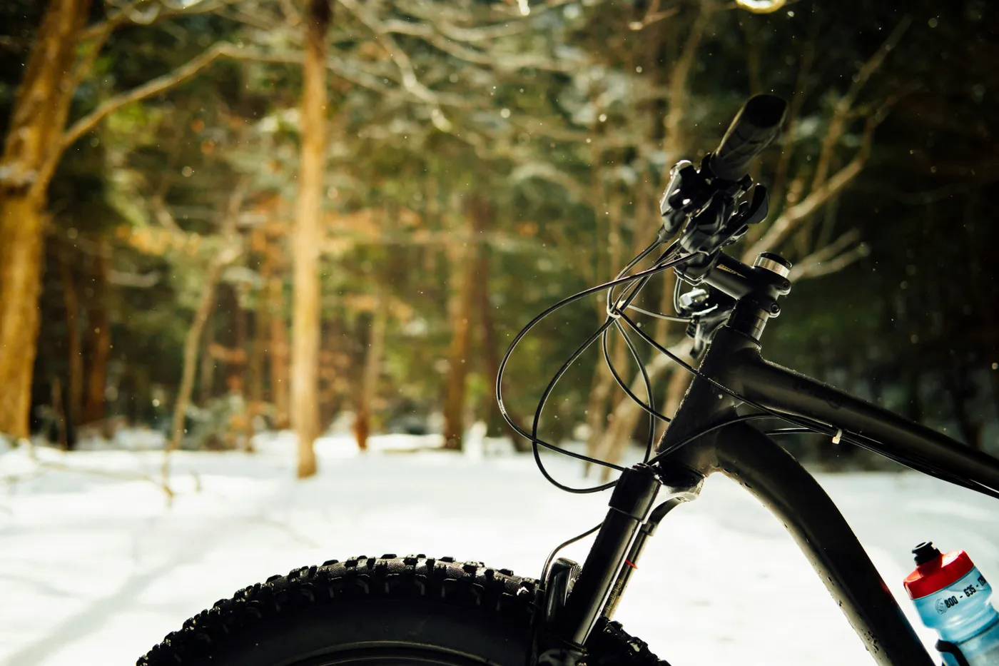 Fat Bike Night Ride