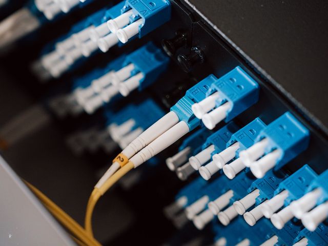 Fibre optic connectors and yellow fibre leads in a patch panel