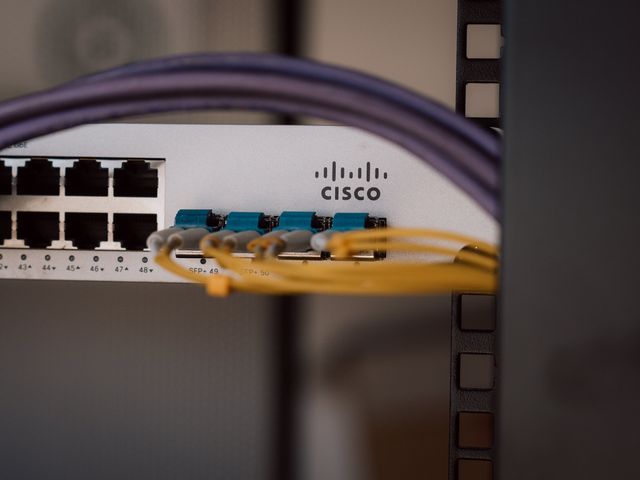 Network switch with patch and fibre leads connected