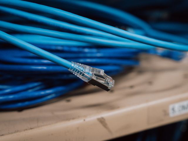 Blue network patch lead with an RJ45 connector