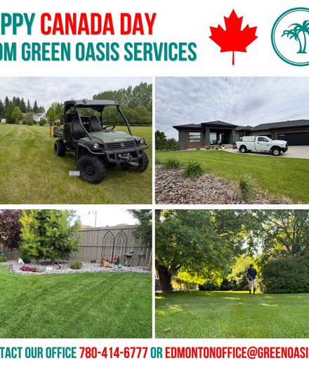 Canada Day Lawn Check: What Your Lawn Needs This July