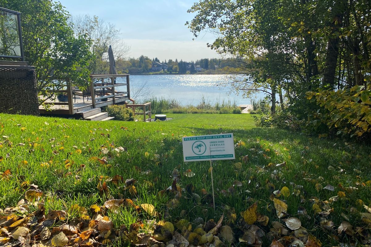 Fall Lawn Care: The Work You Do Now Matters Next Spring